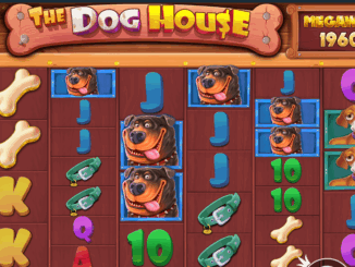 The Dog House Megaways